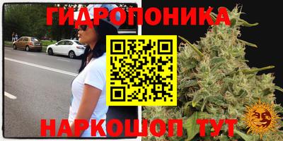 прущие крисы Заводоуковск
