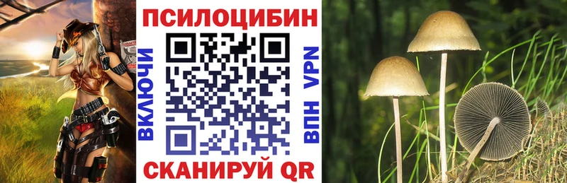 Галлюциногенные грибы Psilocybine cubensis  это телеграм  Курчалой 