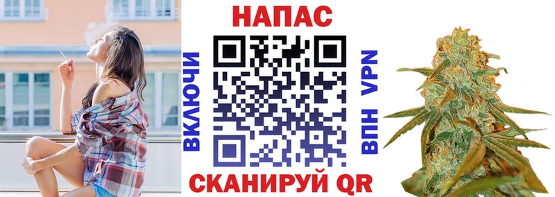 ссылка на мегу сайт  Курчалой  Бошки марихуана VHQ 